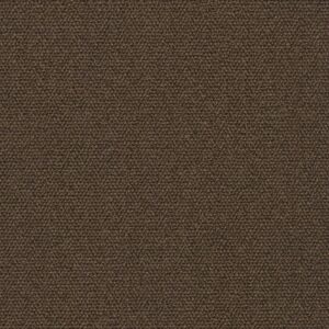Classic camel 0405
