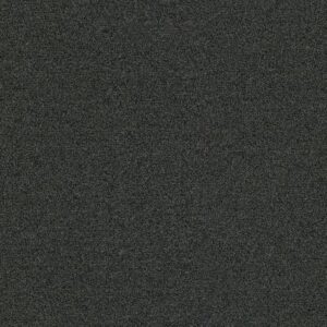 Elegant olifant 0120